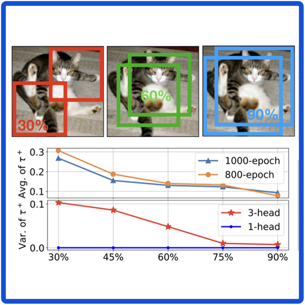 Adaptive Multi-head Contrastive Learning