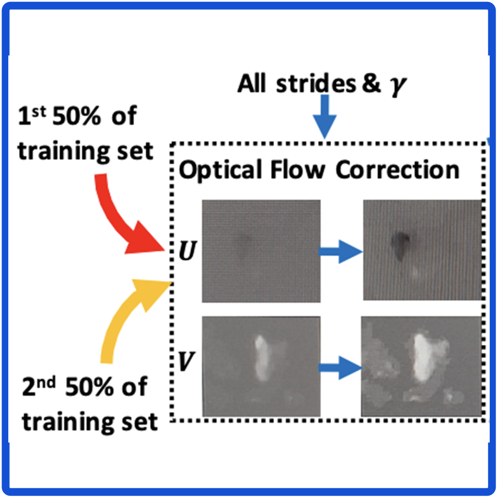 Flow Dynamics Correction for Action Recognition